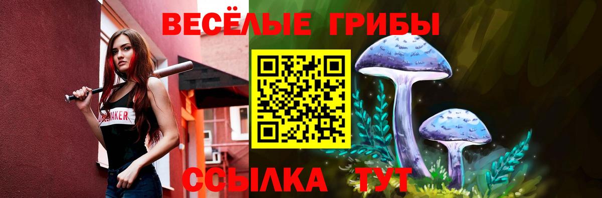 Электросталь  Галлюциногенные грибы мухоморы  Псилоцибиновые грибы MAGIC MUSHROOMS  Вход с VPN 
